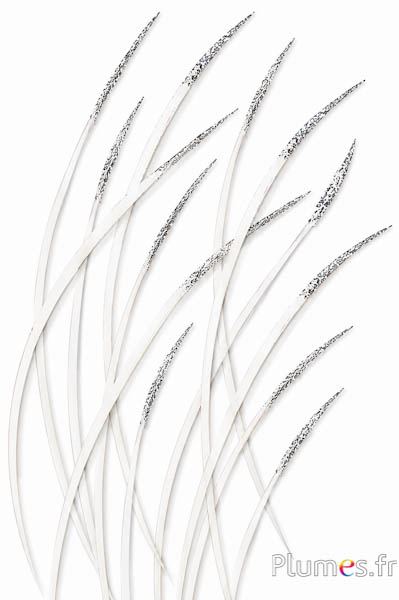 Gans zilveren glitters - 16-18 cm - wit